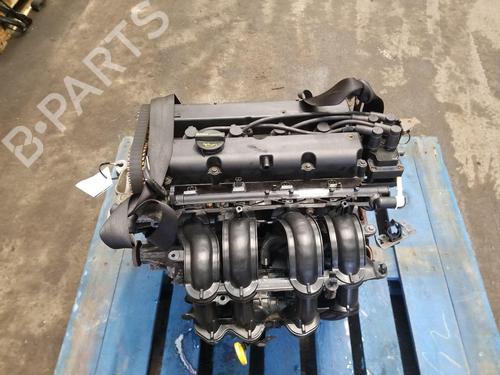Moteur FORD FIESTA VI (CB1, CCN) 1.25 (82 hp) 31983626