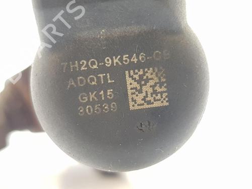 Injector LAND ROVER RANGE ROVER SPORT I (L320) 2.7 D 4x4 | BP28362902M100 