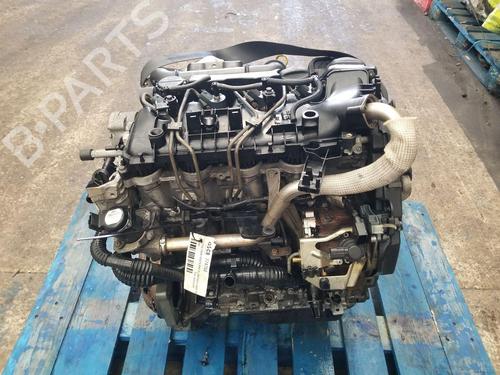 Used Engine FORD FIESTA V (JH_, JD_) 1.6 TDCi (90 hp) 31027279