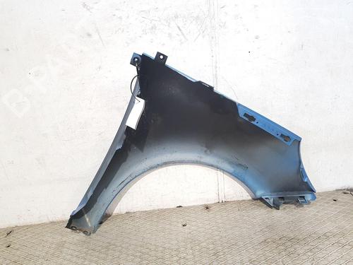 Left front fenders RENAULT SCÉNIC III (JZ0/1_) 1.5 dCi | BP29440354C41 