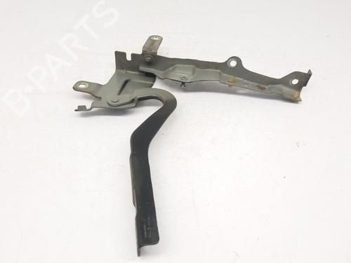 Hinge/Door check strap RENAULT CLIO IV (BH_) 1.2 16V | BP22672194C146 