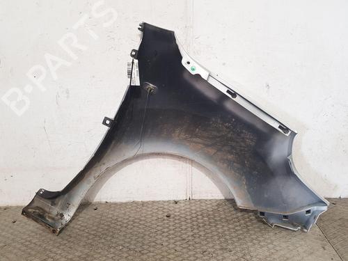 Left front fenders RENAULT KANGOO Express (FW0/1_) 1.5 dCi 75 (FW07, FW10, FW04) | BP27166782C41