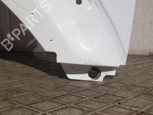 Left front fenders FORD TRANSIT CONNECT (P65_, P70_, P80_) 1.8 TDCi | BP30581241C41 