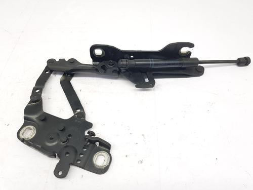 Hinge/Door check strap BMW 3 (F30, F80) 318 d | BP29984273C146