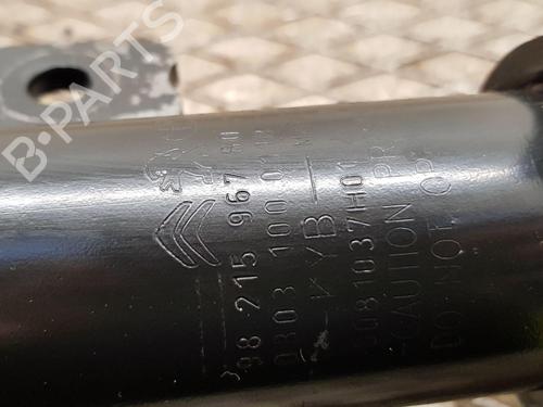 Left front shock absorber OPEL VIVARO C Van (K0) 1.5 | BP31282660M16 