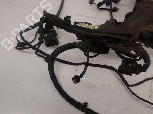 Wiring harness MERCEDES-BENZ SPRINTER 3,5-t Van (B906)  | BP22672533E16 