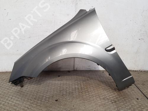 Used Left front fenders KIA RIO II (JB) 1.4 16V (97 hp) 27469892