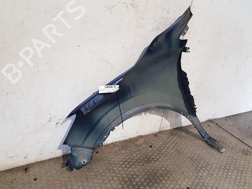 Right front fenders RENAULT KADJAR (HA_, HL_)  | BP22206587C42 