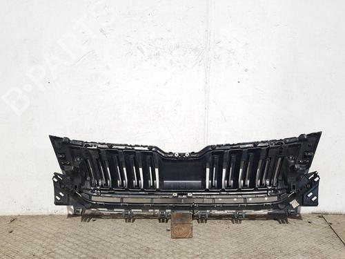 Grille SKODA KODIAQ I (NS6, NS7, NV7) 2.0 TDI 4x4 | BP30264613C40 