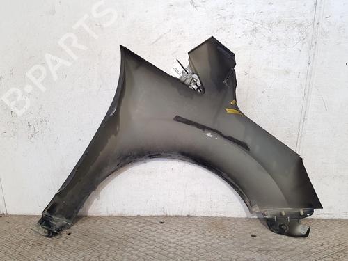 Left front fenders FORD C-MAX II (DXA/CB7, DXA/CEU) 1.5 TDCi | BP27469893C41 