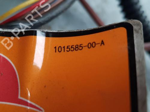 Wiring harness TESLA MODEL 3 (5YJ3) EV AWD | BP36640739E16 - Image 34