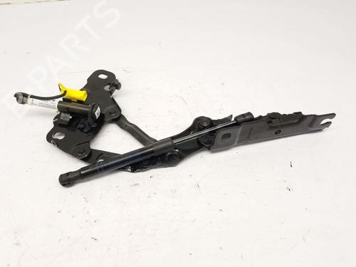 Hinge/Door check strap BMW X4 (G02, F98) xDrive 30 d | BP29984340C146