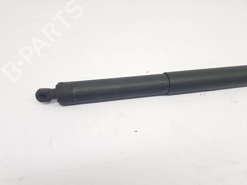 Tailgate lift support AUDI Q3 (8UB, 8UG)  | BP23053883C138 