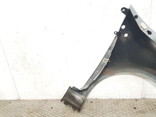 Left front fenders RENAULT CLIO III (BR0/1, CR0/1) 1.2 16V (BR02, BR0J, BR11, CR02, CR0J, CR11) | BP27166786C41 