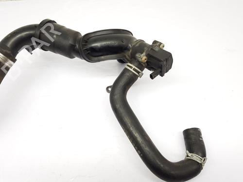 Pipe FORD FOCUS IV (HN)  | BP22675097M125 