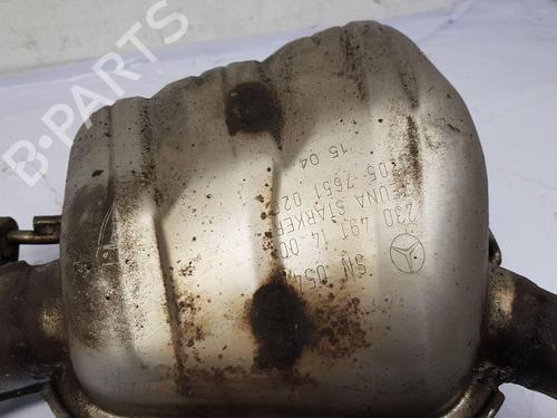 Exhaust system MERCEDES-BENZ SL (R230) 350 (230.467) | BP31698295M121 