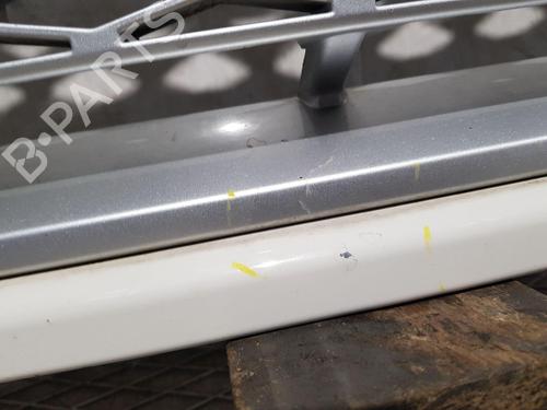 Grille LAND ROVER RANGE ROVER III (L322) 3.6 D 4x4 | BP30184955C40