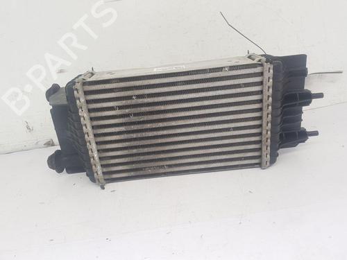 Intercooler NISSAN JUKE (F15) 1.5 dCi (110 hp) 28137078