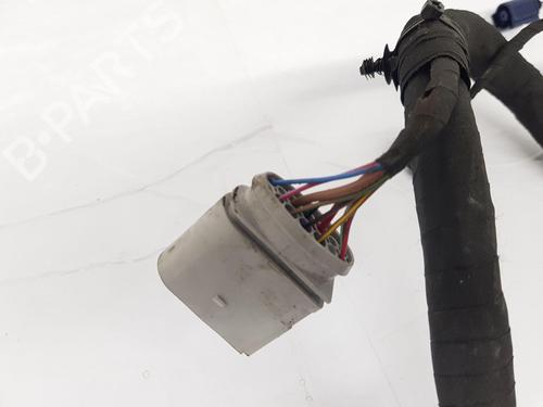 Wiring harness VW POLO VI (AW1, BZ1, AE1)  | BP29262784E16 