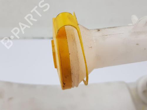 Windscreen washer tank ISUZU D-MAX II (TFR, TFS) 2.5 CRDi 4x4 (TFS86J) | BP29620356C113