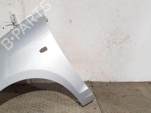 Left front fenders KIA PICANTO I (SA) 1.1 | BP24478455C41 