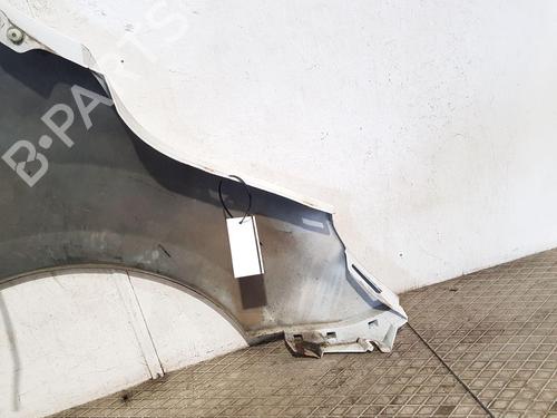 Left front fenders MERCEDES-BENZ CITAN Box Body/MPV (W415)  | BP28800418C41 