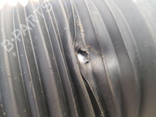 Left rear shock absorber BMW 7 (G11, G12) 730 d, Ld xDrive | BP28965678M18 