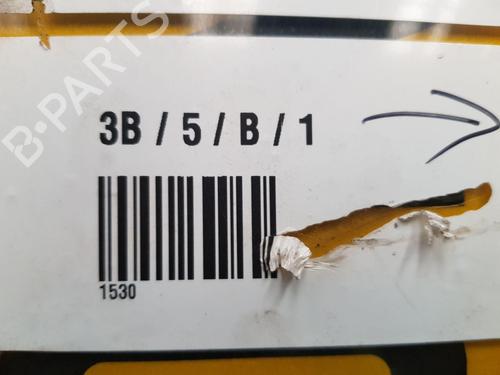 Engine RENAULT MEGANE II Estate (KM0/1_) 1.5 dCi (KM16, KM1E) | BP24341890M1 