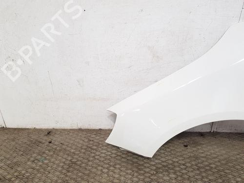 Left front fenders SKODA FABIA II Combi (545) 1.6 TDI | BP28501101C41 