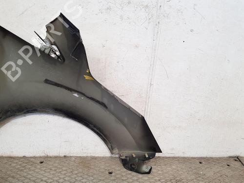 Left front fenders FORD C-MAX II (DXA/CB7, DXA/CEU) 1.5 TDCi | BP27469893C41 