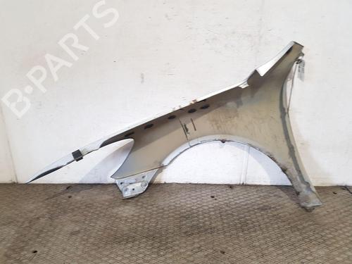 Right front fenders SKODA OCTAVIA II (1Z3) 1.9 TDI | BP22203024C42 