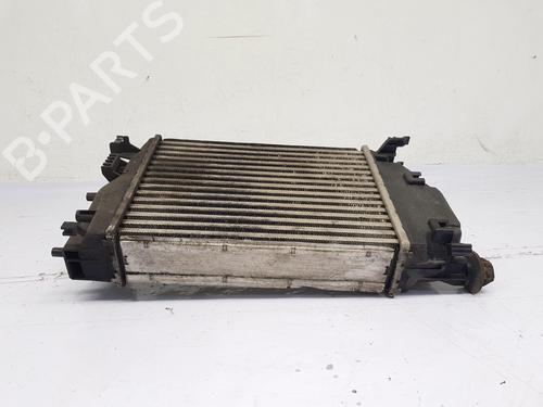 Intercooler NISSAN QASHQAI II (J11, J11_) 1.5 dCi | BP30581101M30