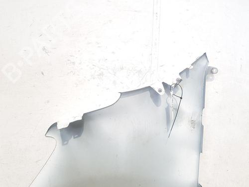 Right front fenders RENAULT MASTER III Van (FV)  | BP29045070C42 