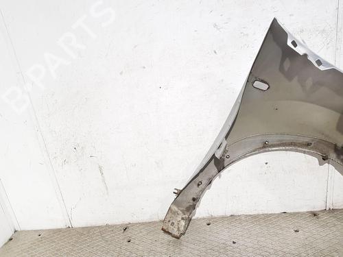 Left front fenders DACIA SANDERO II 1.5 dCi | BP29379130C41 