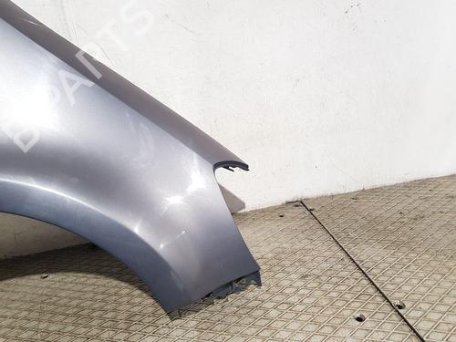 Right front fenders RENAULT CLIO III Grandtour (KR0/1_) 1.5 dCi (KR0F) | BP30161486C42 