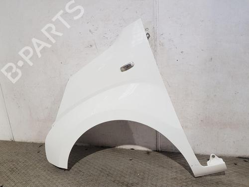 Left front fenders CITROËN NEMO Box Body/MPV (AA_) 1.3 HDi 75 | BP29549415C41 
