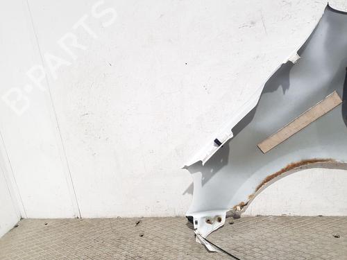 Right front fenders NISSAN MICRA IV (K13K, K13KK) 1.2 | BP29549437C42 