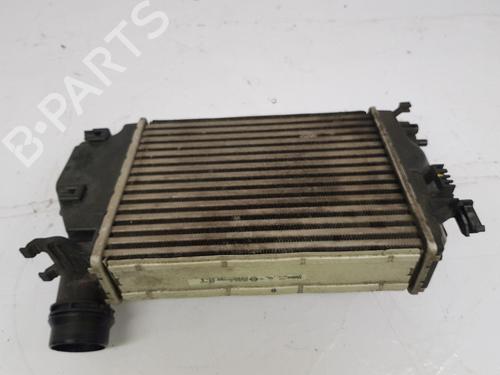 Used Intercooler Intercooler NISSAN QASHQAI II (J11, J11_) [2013-2026] 30581025 30581025