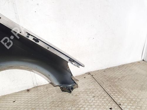 Left front fenders RENAULT CLIO III (BR0/1, CR0/1) 1.5 dCi (BR17, CR17) | BP30309687C41 