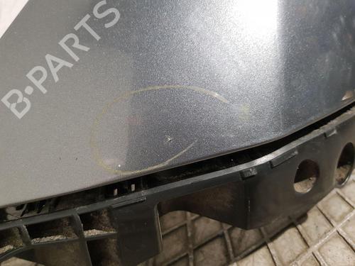 Left front fenders NISSAN JUKE (F15) 1.5 dCi | BP31365748C41