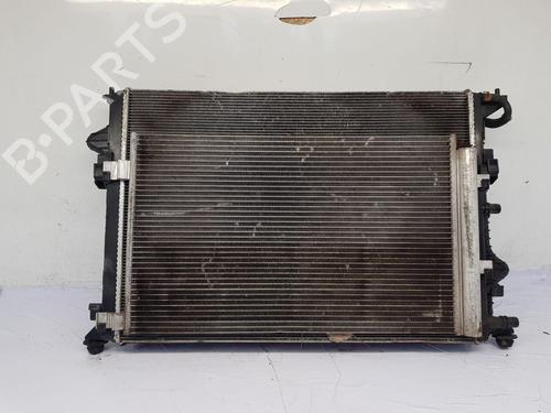 Køler NISSAN QASHQAI II (J11, J11_) [2013-2025]  30650009