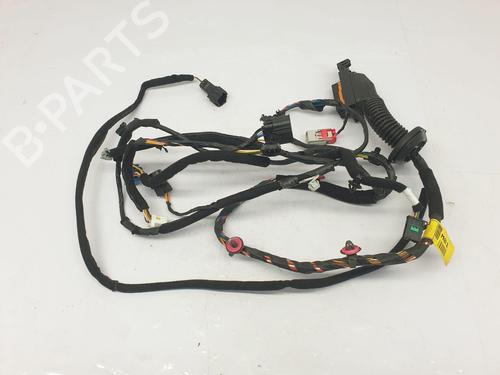 Used Wiring harness Wiring harness HYUNDAI KONA (OS, OSE, OSI) 1.0 T-GDi (120 hp) 29756101 29756101
