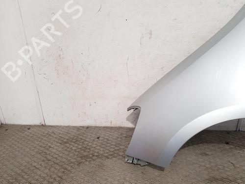 Left front fenders RENAULT CLIO III (BR0/1, CR0/1) 1.2 16V (BR02, BR0J, BR11, CR02, CR0J, CR11) | BP27166786C41 