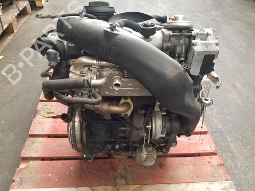 Used Engine Engine 39174831 39174831