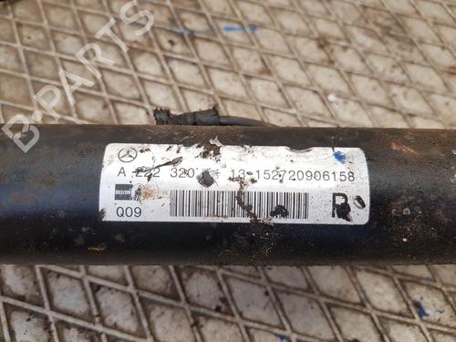 Right rear shock absorber MERCEDES-BENZ S-CLASS (W222, V222, X222) S 350 BlueTEC / d (222.132, 222.032, 222.123) | BP29956994M19 