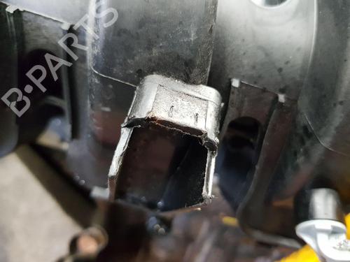 Engine RENAULT TWINGO II (CN0_) 1.2 16V (CN04, CN0B) | BP30138009M1