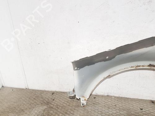 Right front fenders LAND ROVER FREELANDER 2 (L359) 2.2 TD4 4x4 | BP31864360C42 