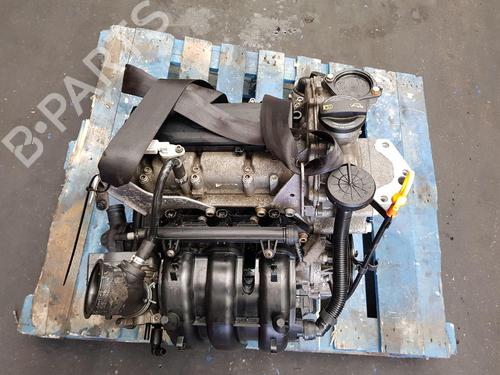 Used Engine SKODA FABIA II (542) 1.2 (70 hp) 30138073