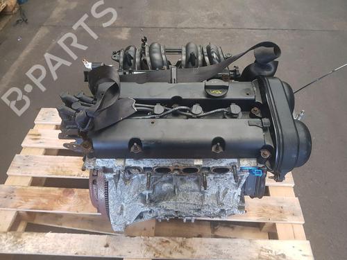 Used Engine FORD FIESTA VI (CB1, CCN) [2008-2026]  31346548