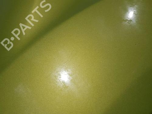 Left front fenders FORD FIESTA VI (CB1, CCN) 1.25 | BP32177780C41 